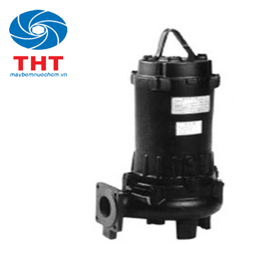 Bơm nước thải không phao EBARA-China 50 DVS 5.75
